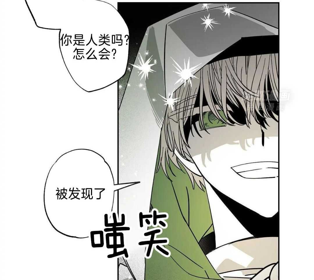 11_你到底在保护谁