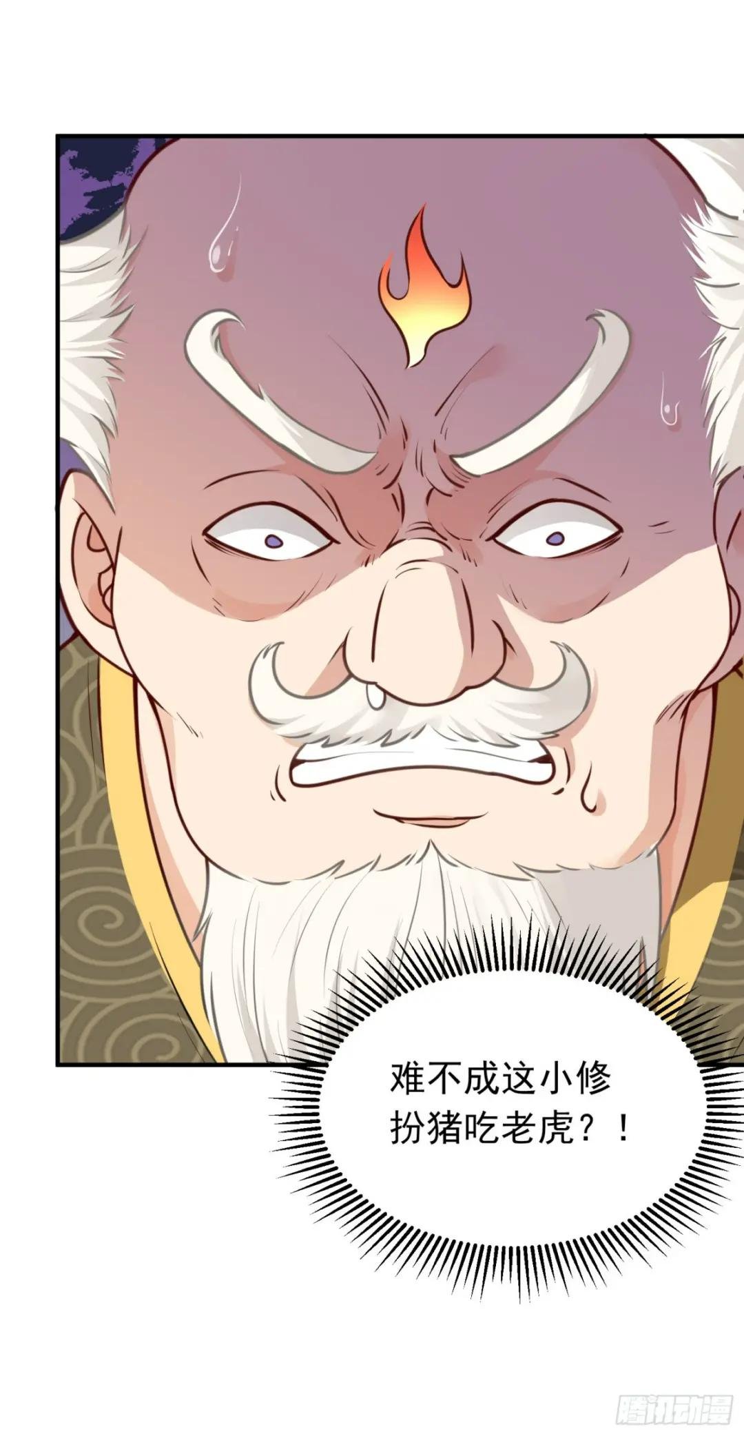 第13话 扮猪吃老虎
