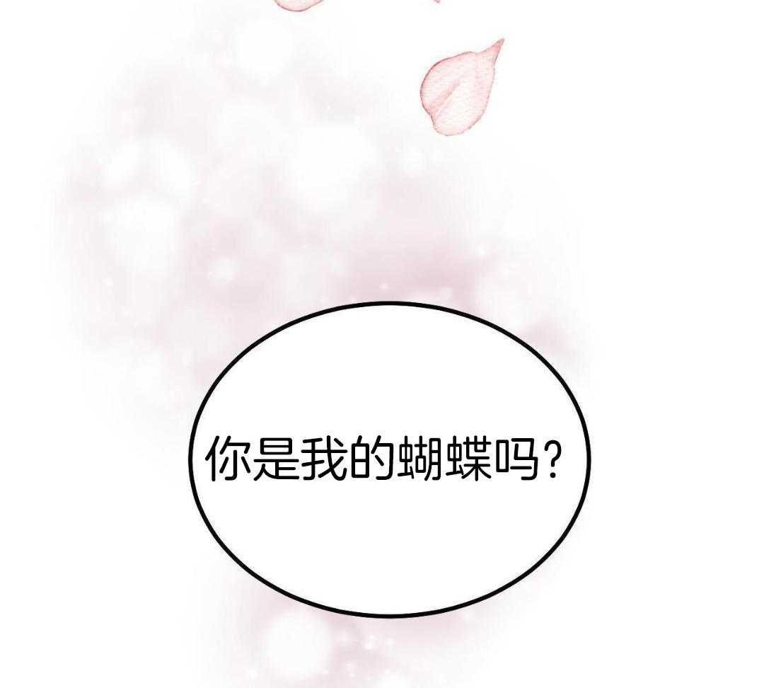 3_唯一的花