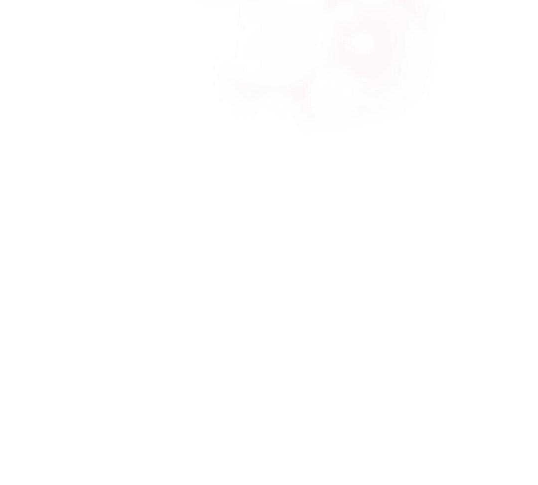3_唯一的花