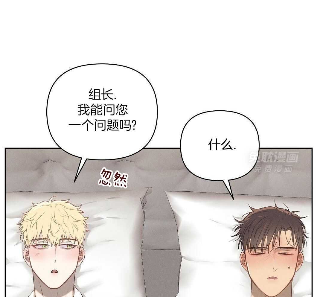 认识认识