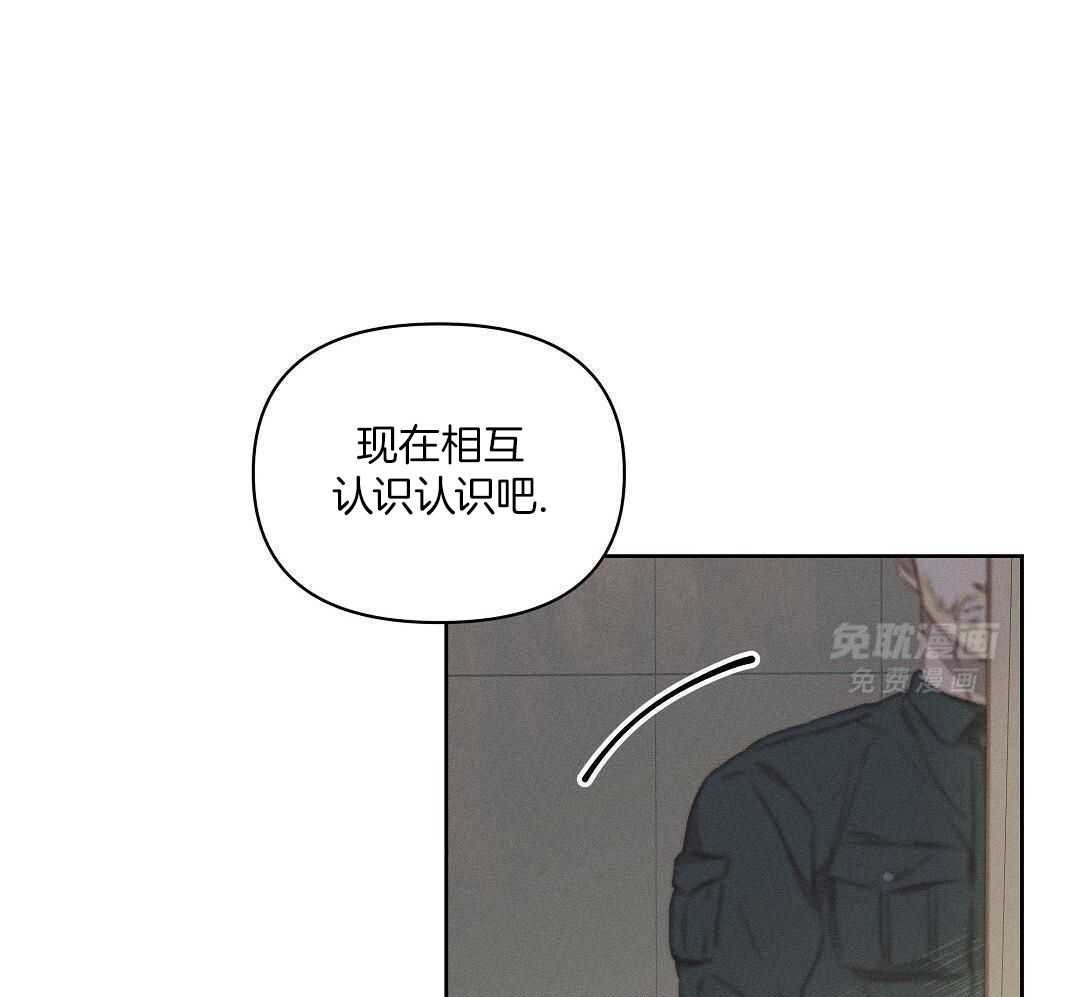 认识认识