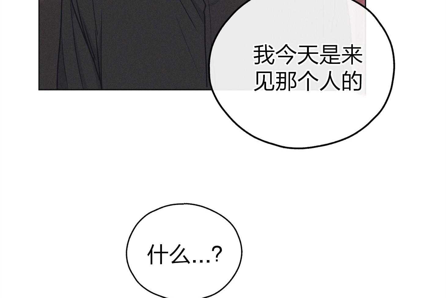怀疑贿赂