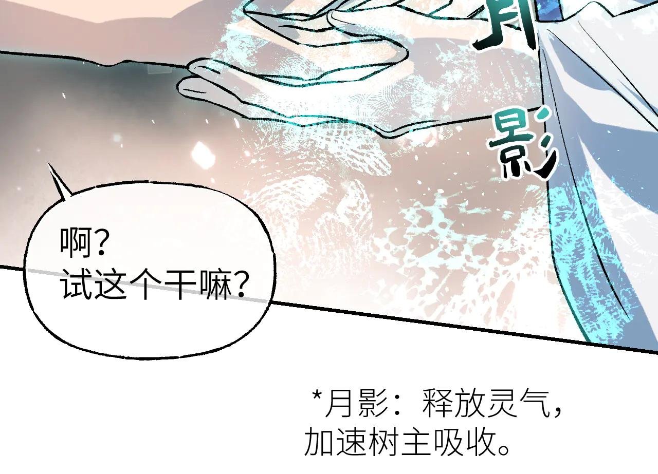 84 天生树主