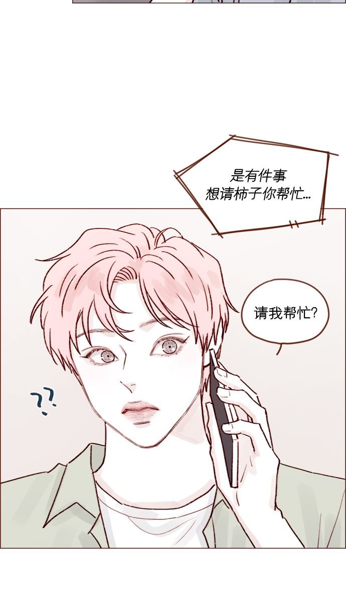 [第206话] 太喜欢柿子了嘛