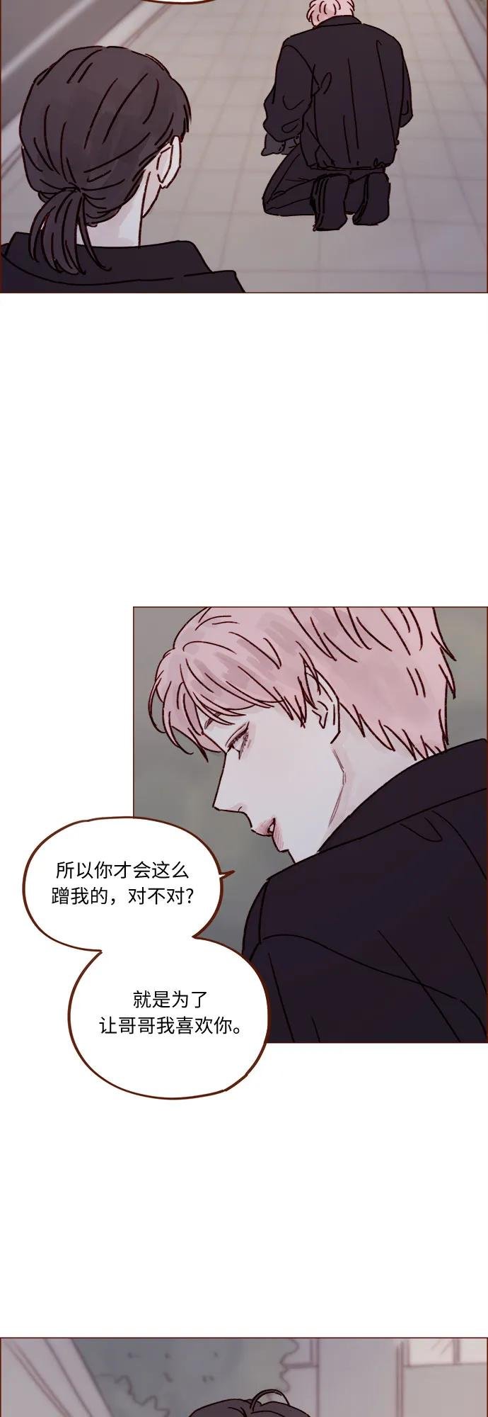 [第257话] 第3季尾声