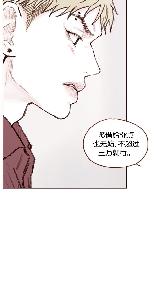 [第54话] 我觉得柿浩挺好的