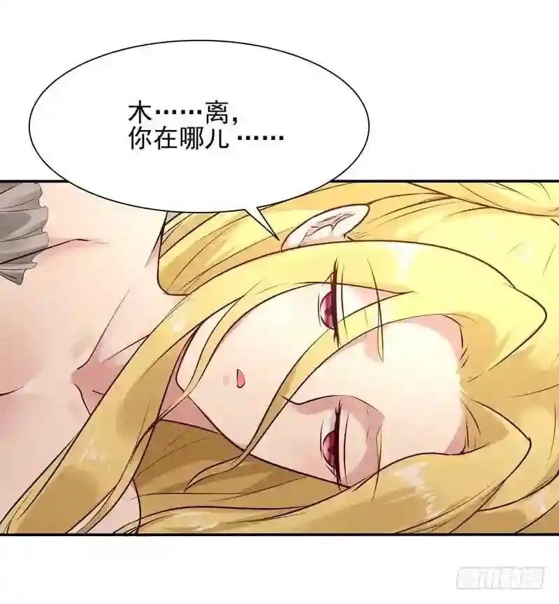 第12话 大显身手