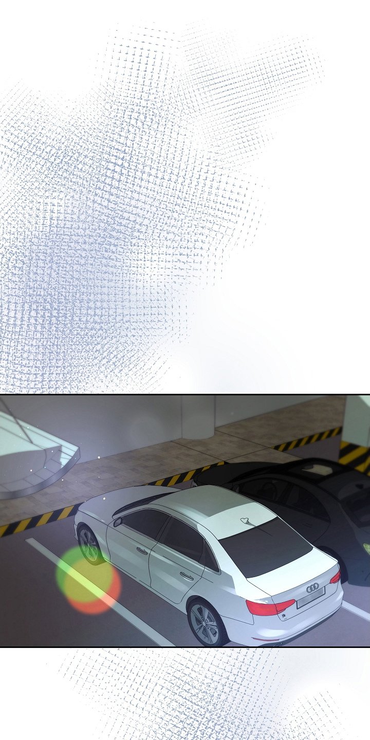 第17章：调查