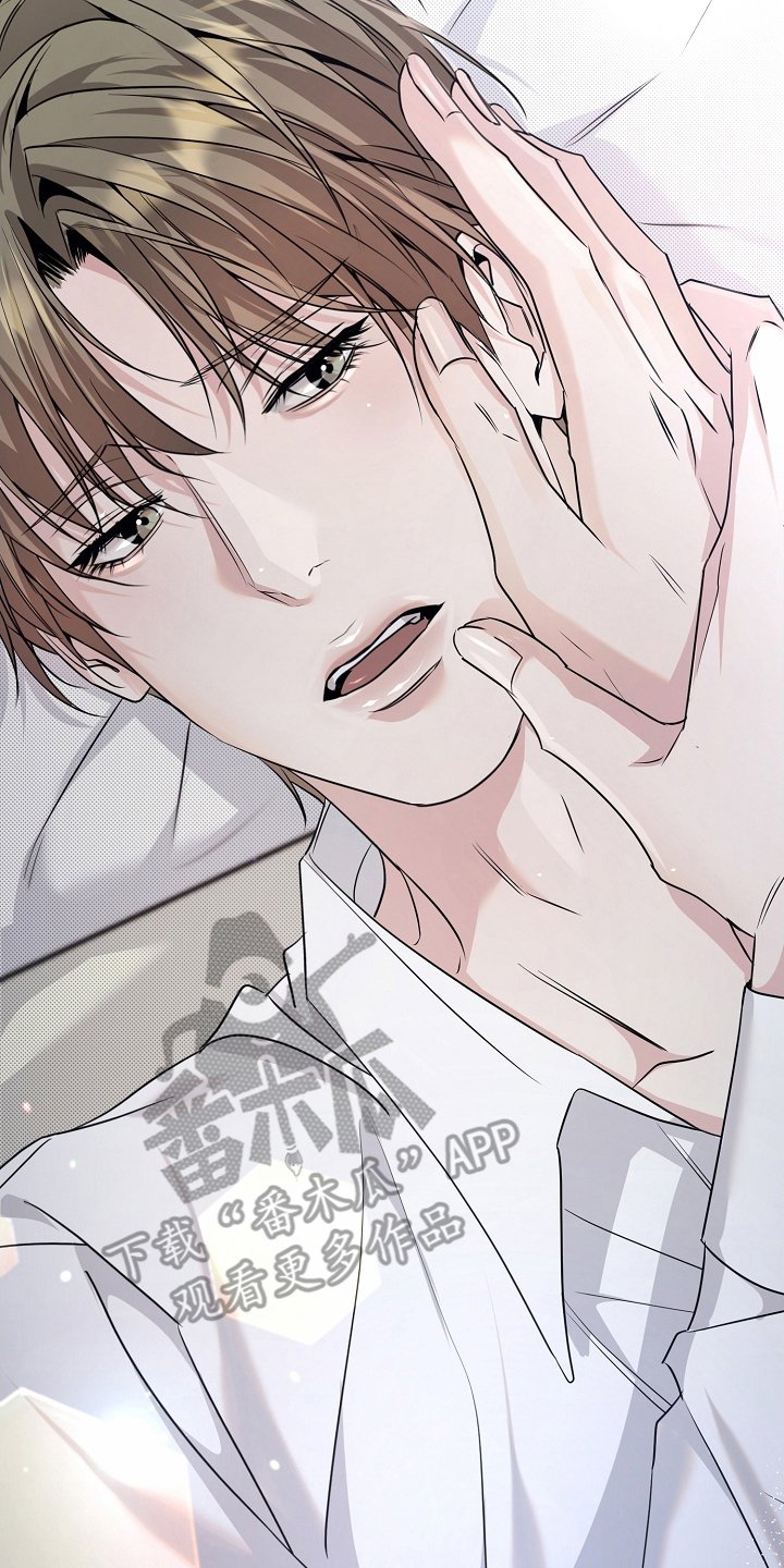 第23章：小狐狸
