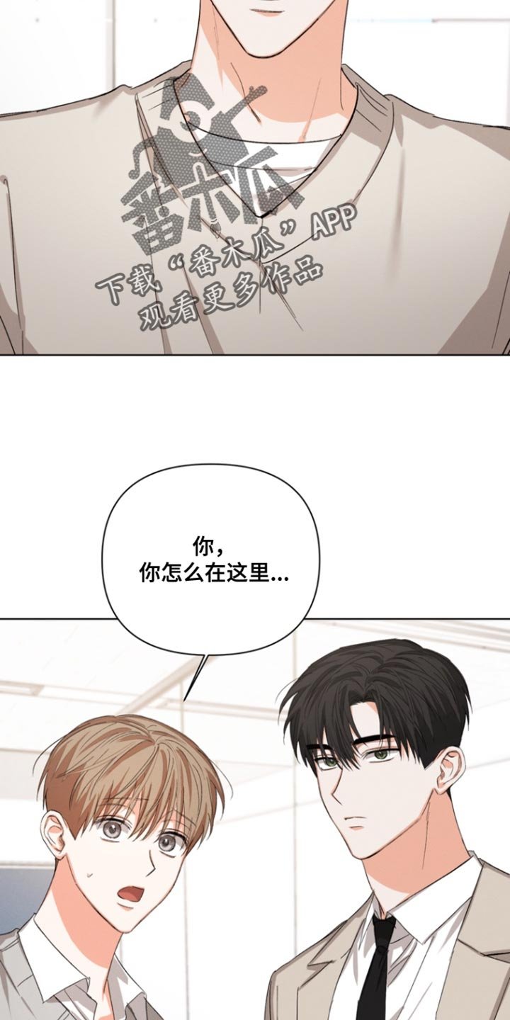第104章：【第三季】奇怪的传闻