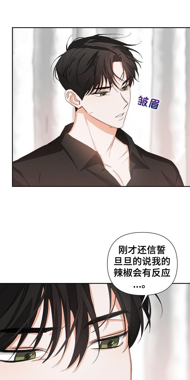 第13章：投降
