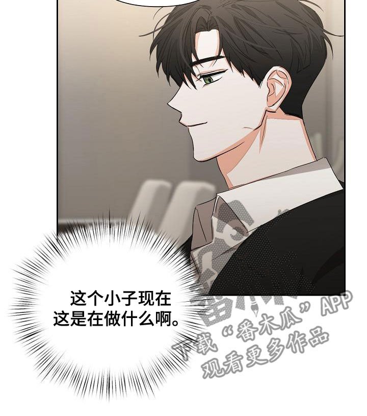 第17章：迎合