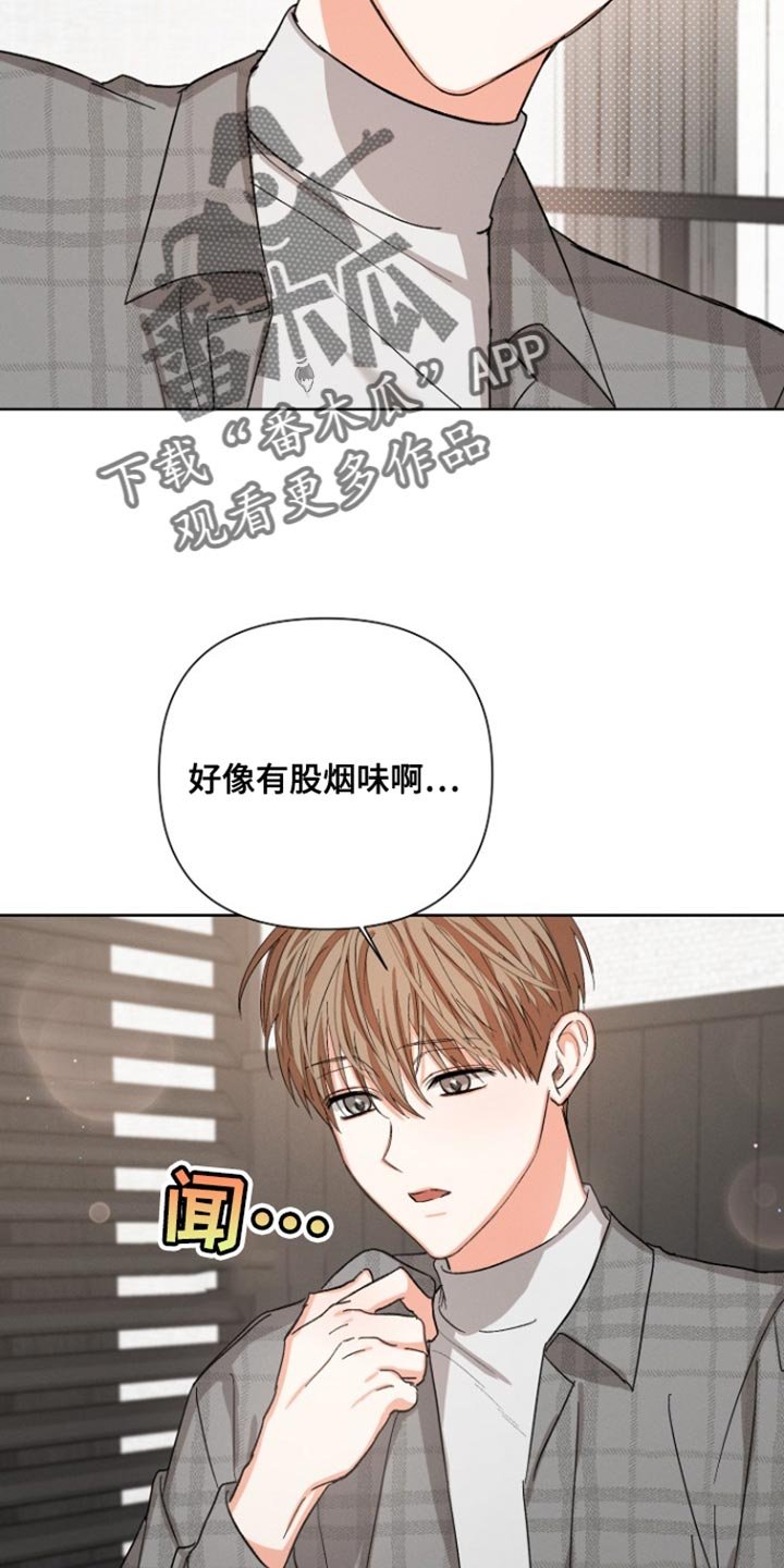 第93章：【第三季】回到总公司