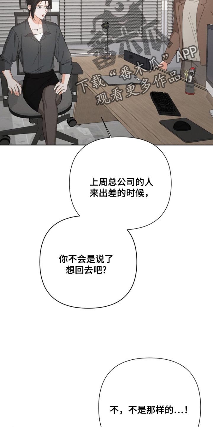 第93章：【第三季】回到总公司