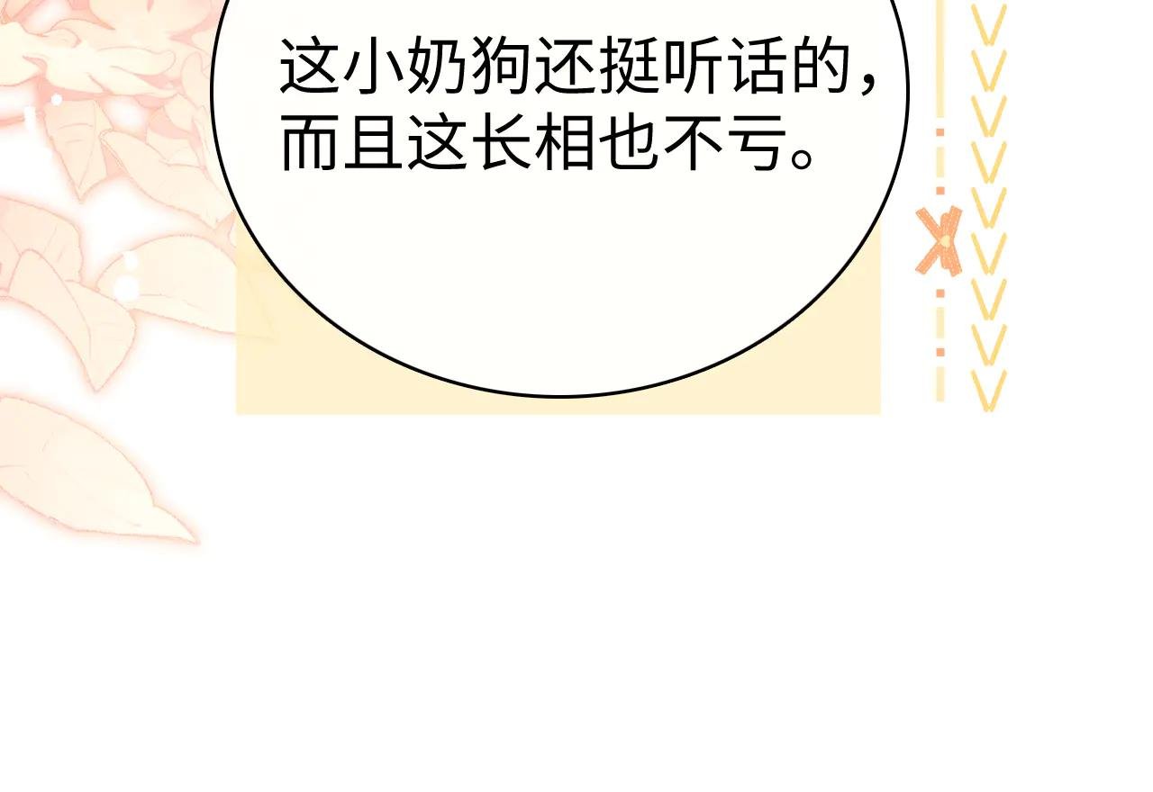 78话 我在追人