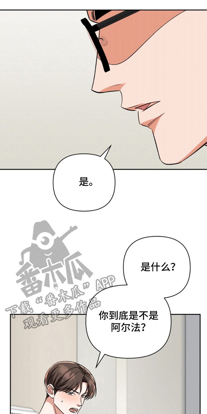 第12章：阿尔法