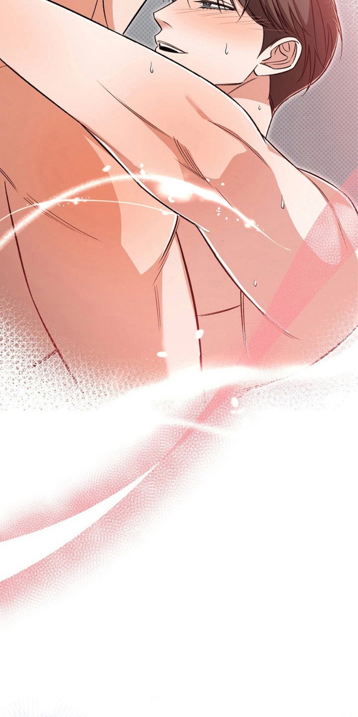 第18章：信息素
