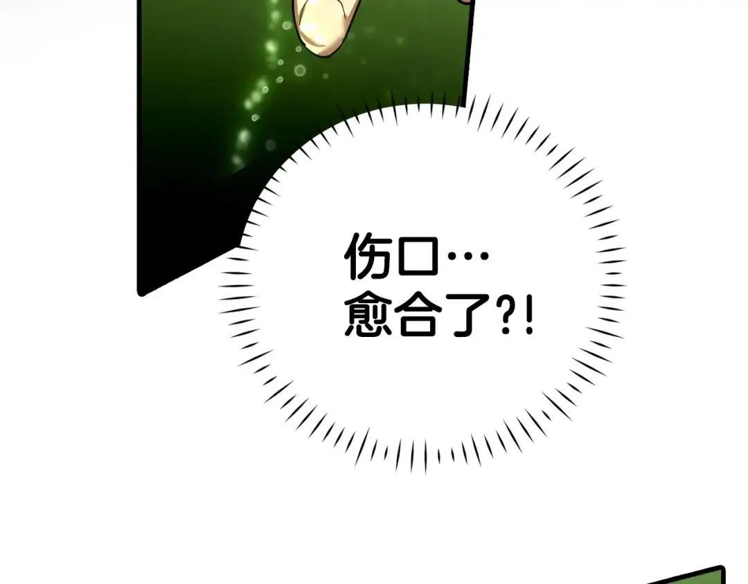 第1话 神医穿越到魔法世界