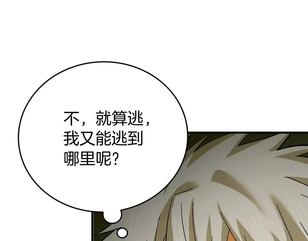 第11话 森林精灵