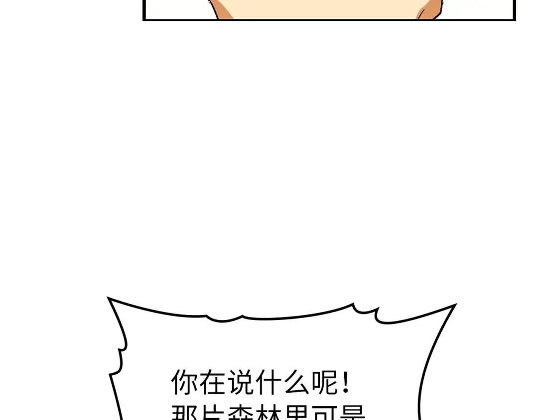 第11话 森林精灵
