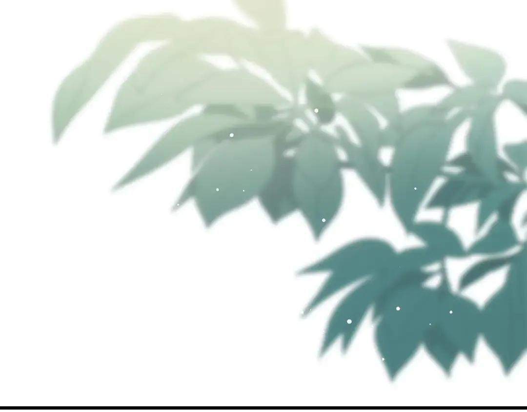 第11话 森林精灵