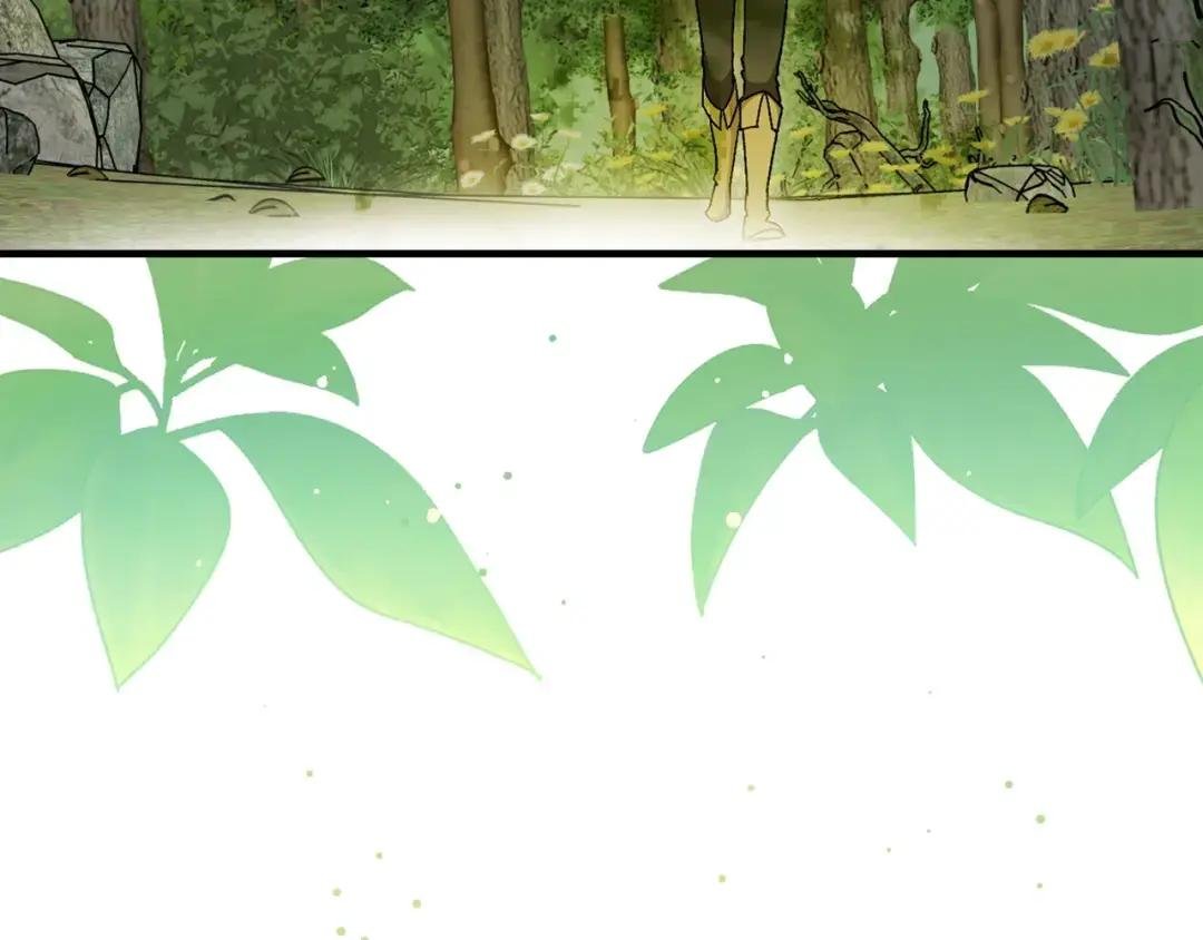 第11话 森林精灵