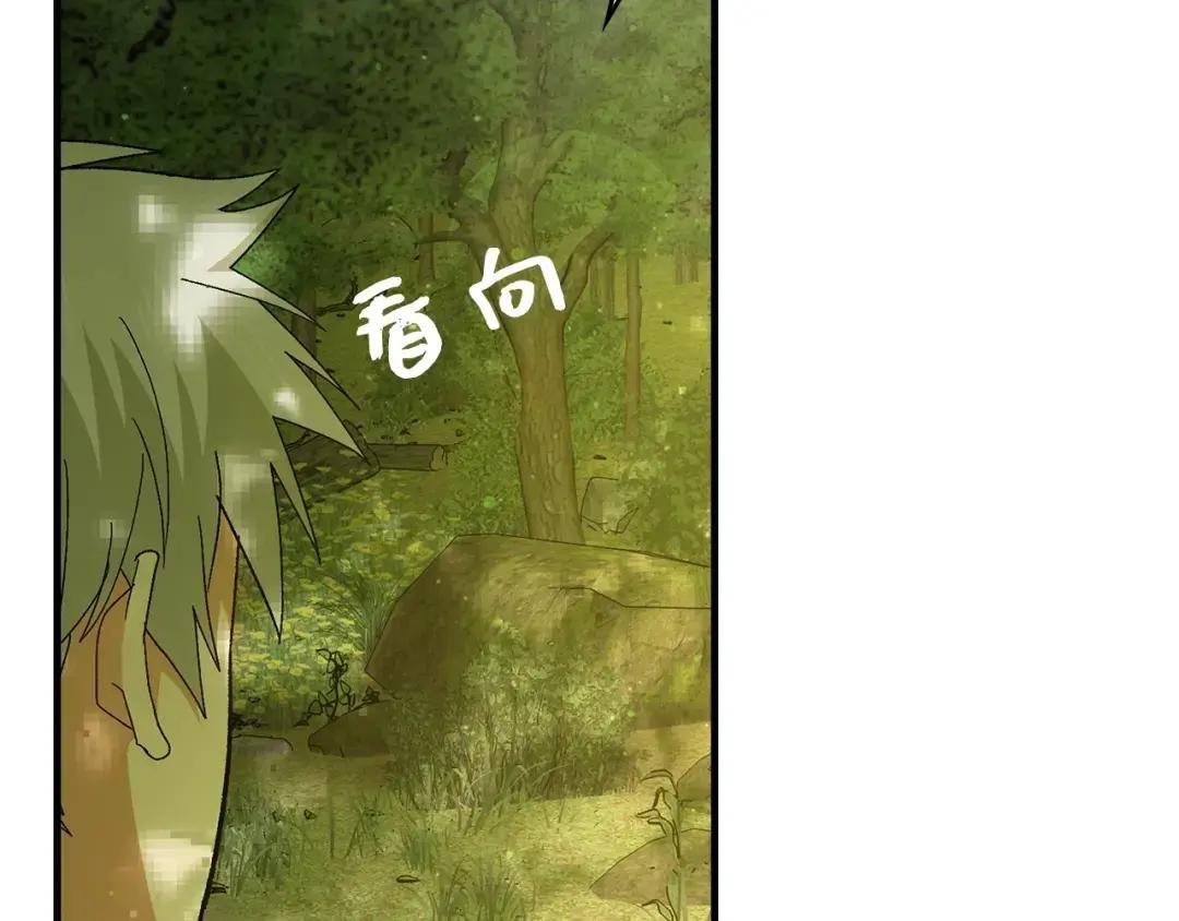 第11话 森林精灵