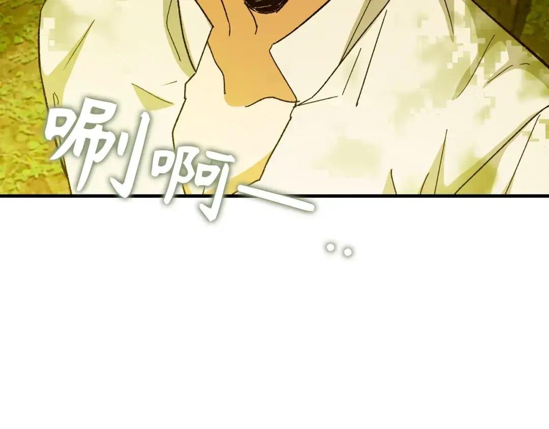 第11话 森林精灵