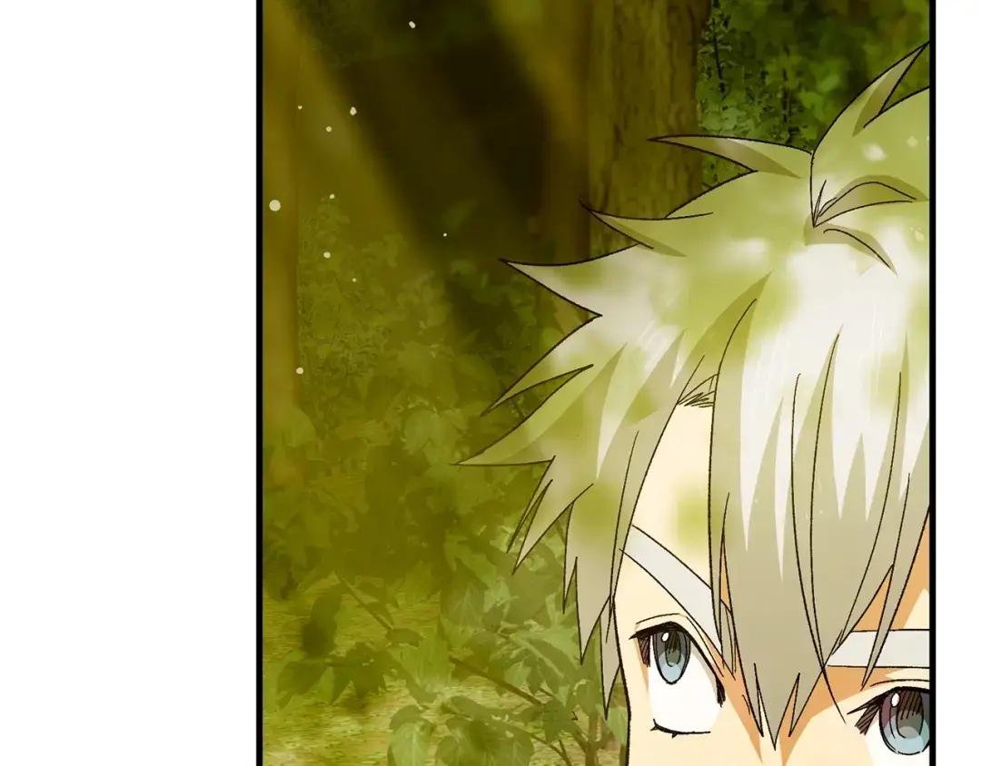 第11话 森林精灵