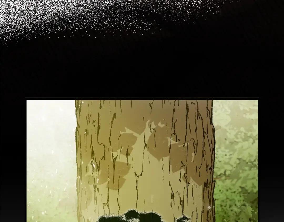 第11话 森林精灵