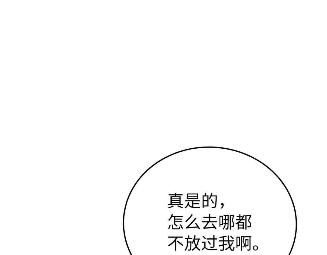 第11话 森林精灵