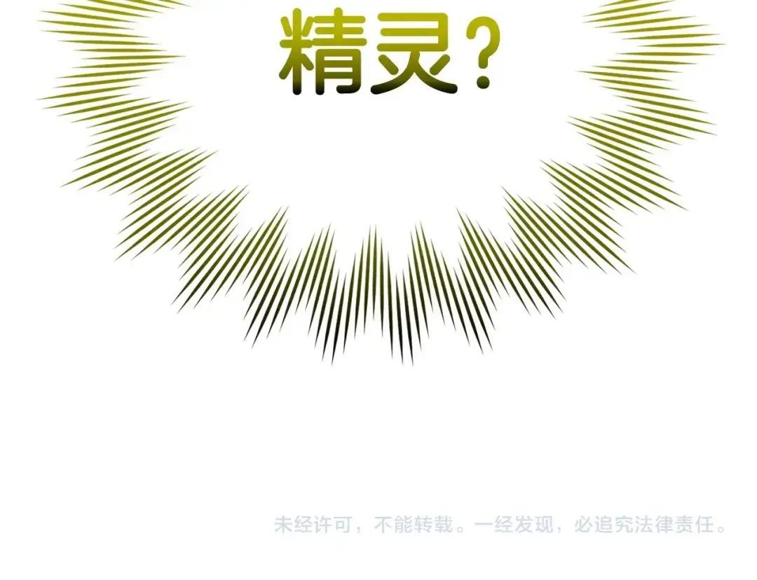 第11话 森林精灵