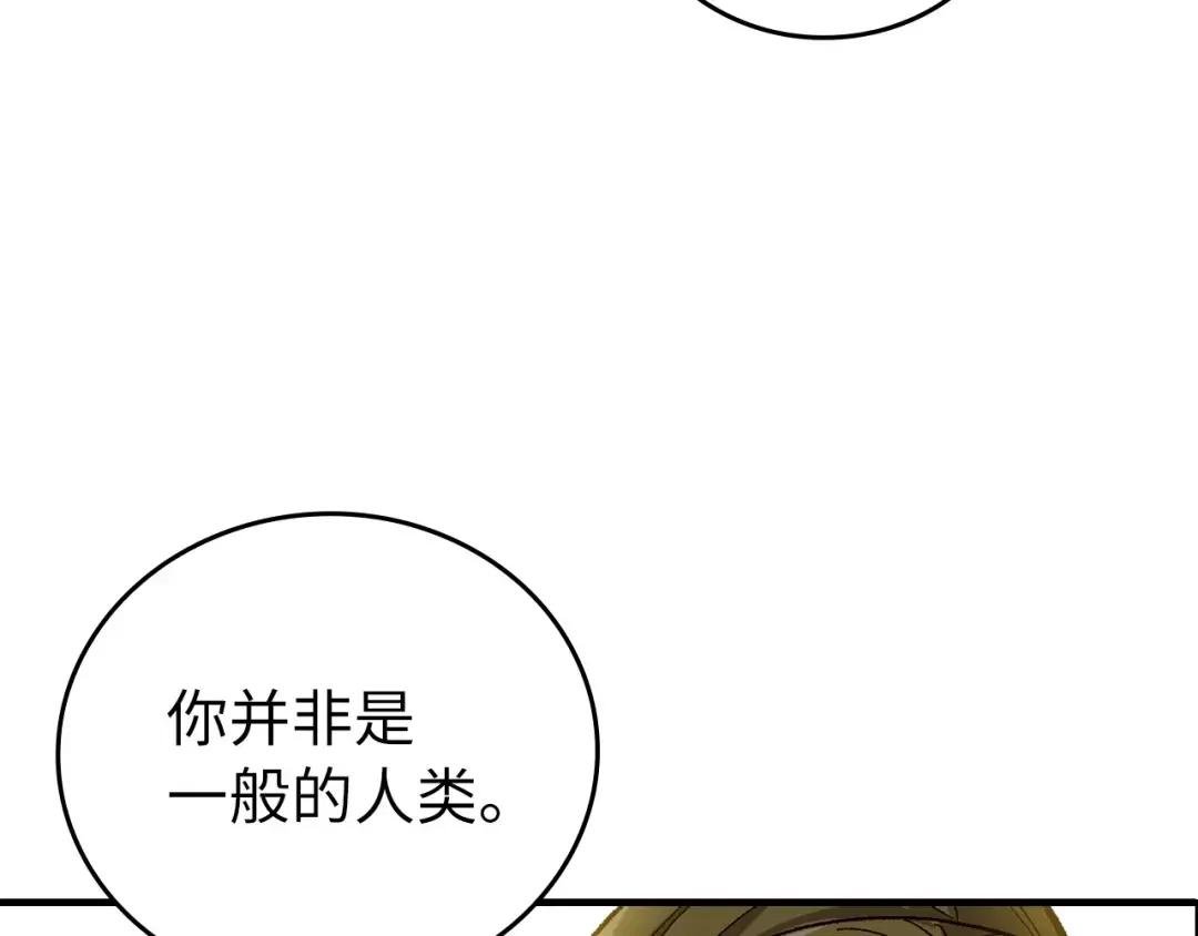 第12话 精灵的帮手