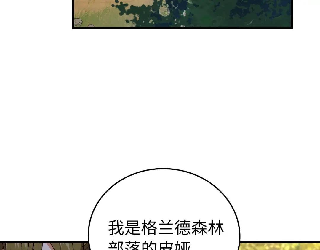 第12话 精灵的帮手
