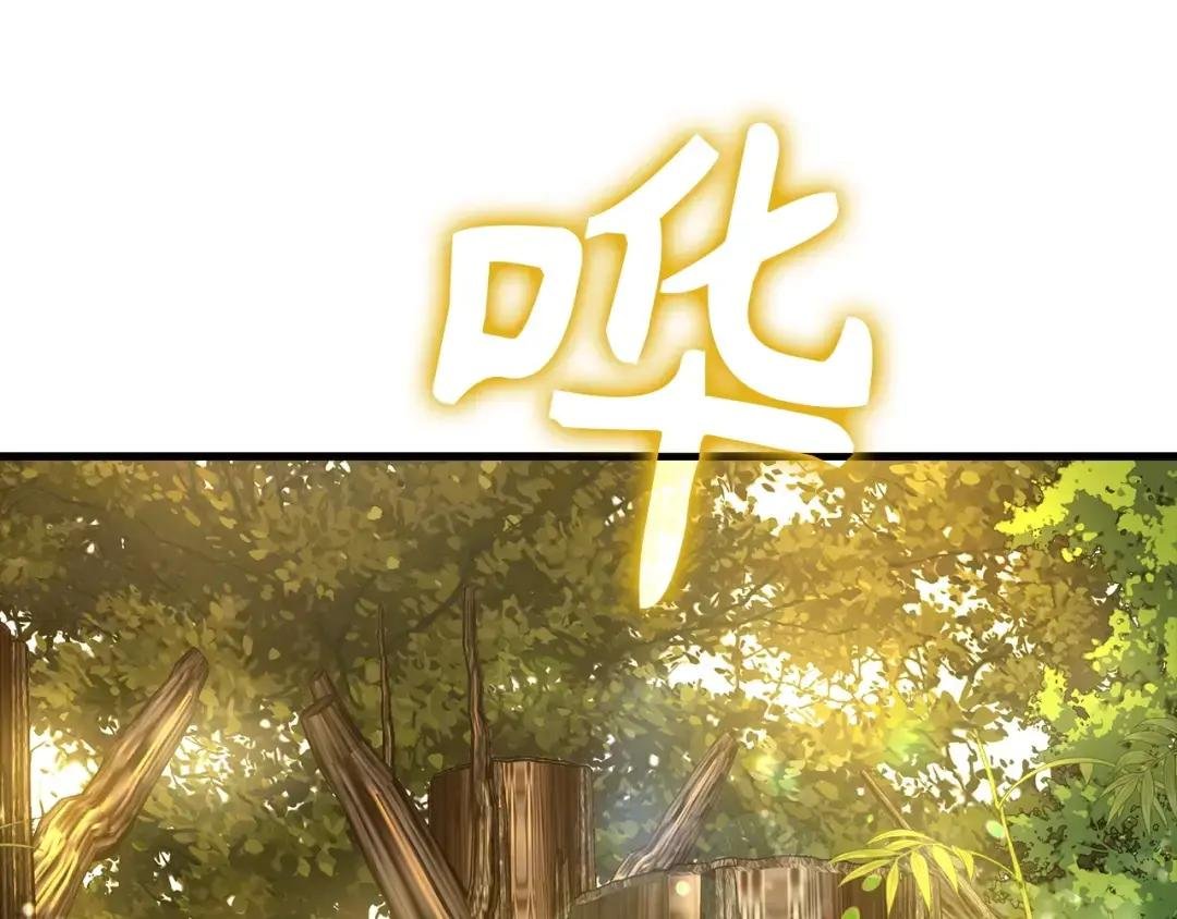 第12话 精灵的帮手