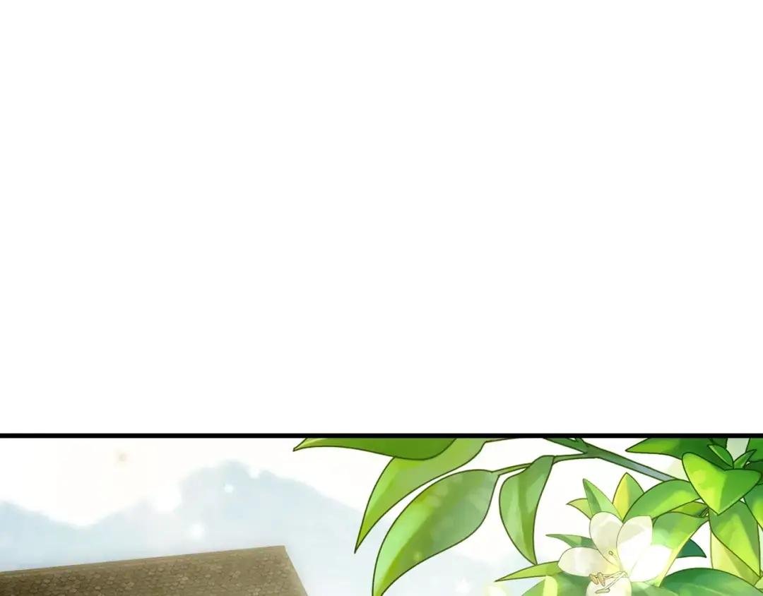 第3话 千年难遇的天才