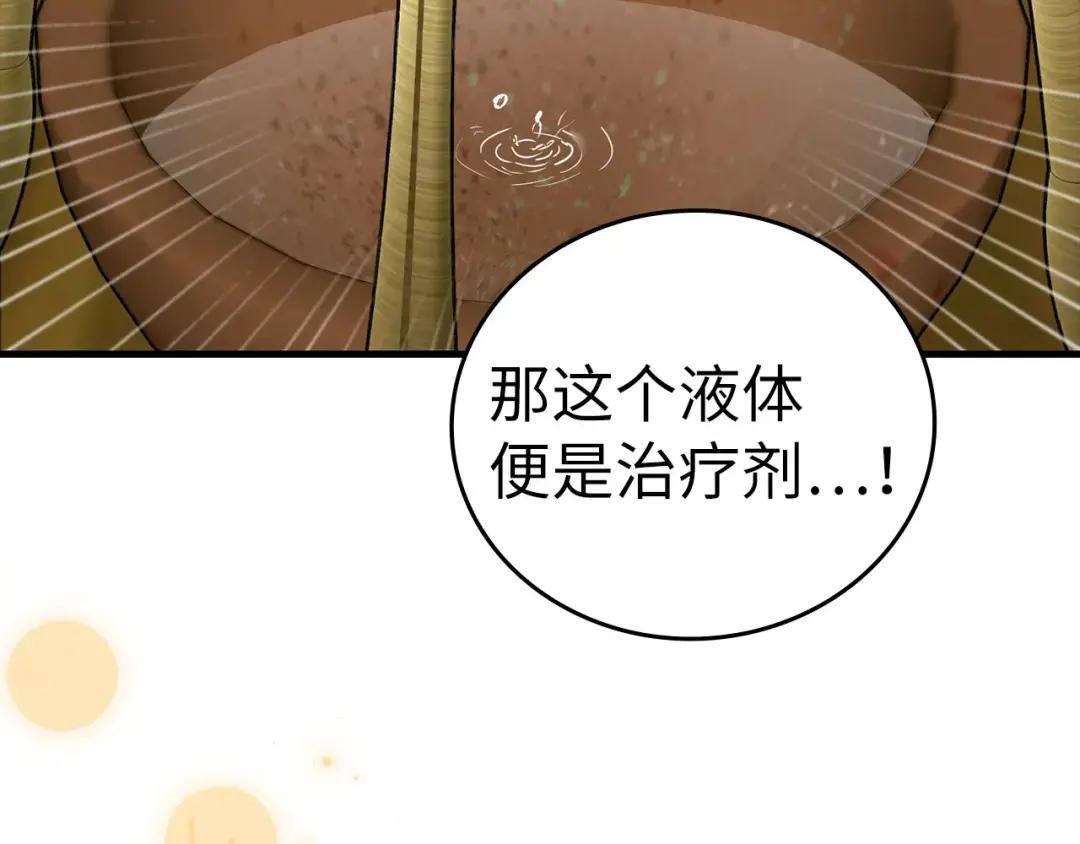 第73话 制作治疗剂