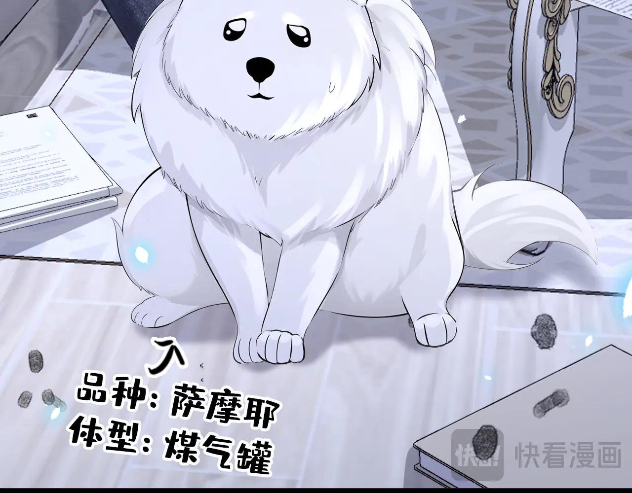 第104话 把你的狗接走！