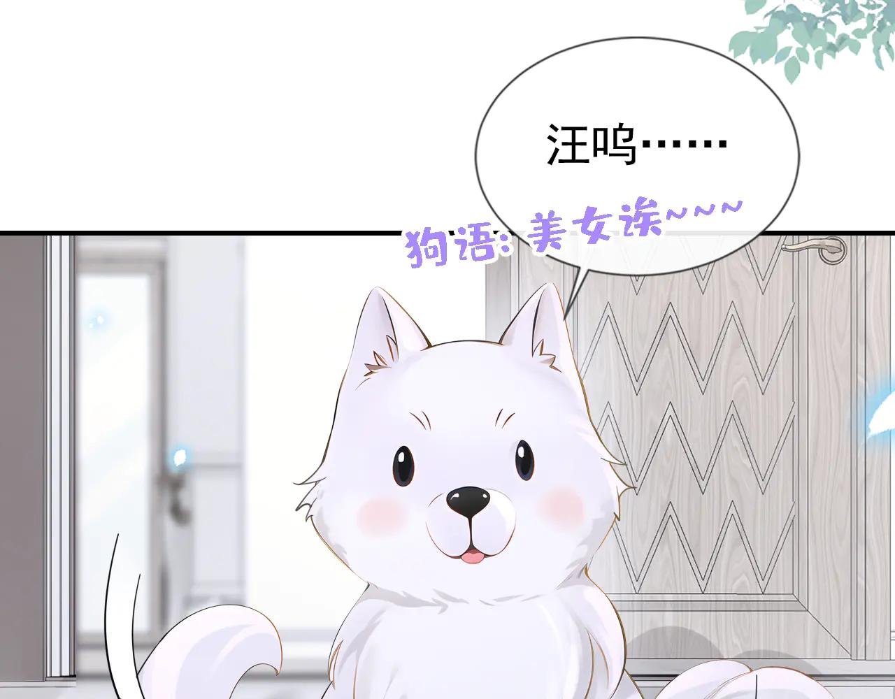 第114话 真相是什么？