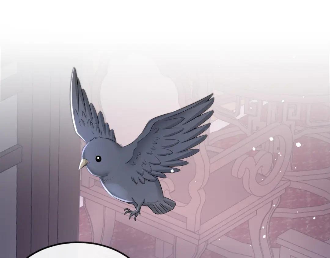 第13话 我真的该怀疑她吗？