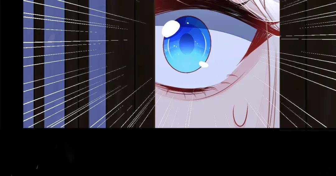 第26话 不打算留后路吗？