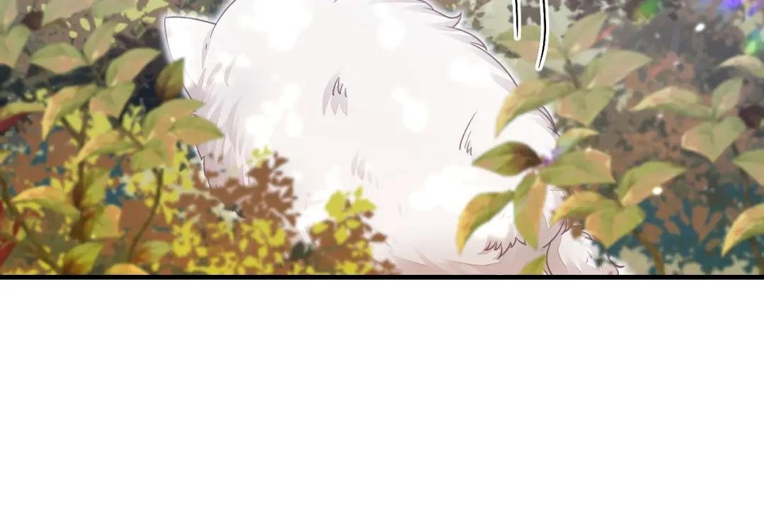 第43话 你是在施舍吗？