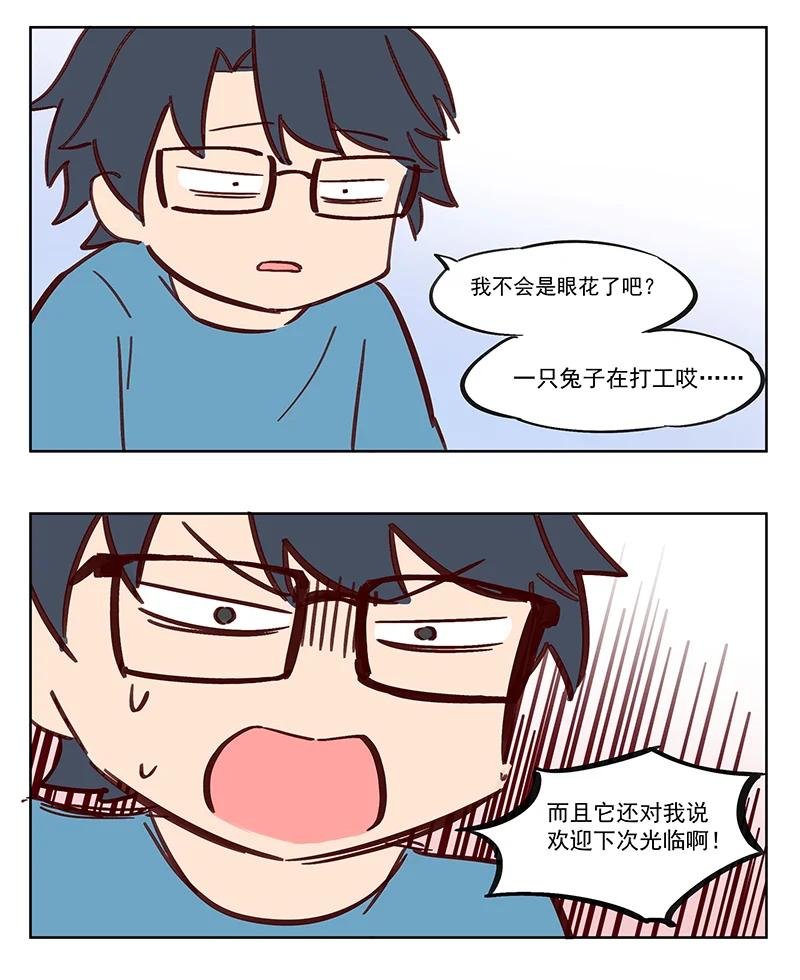 震惊 我看到兔子在打工哎？