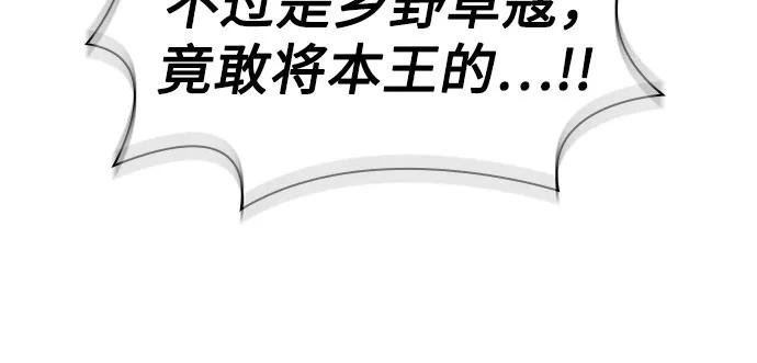 214. 第73章 皇帝的随身护卫(2)