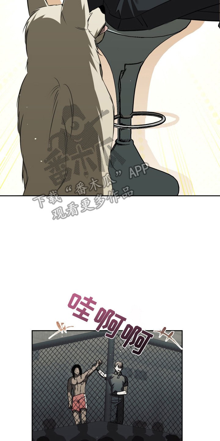 第2章：猎犬