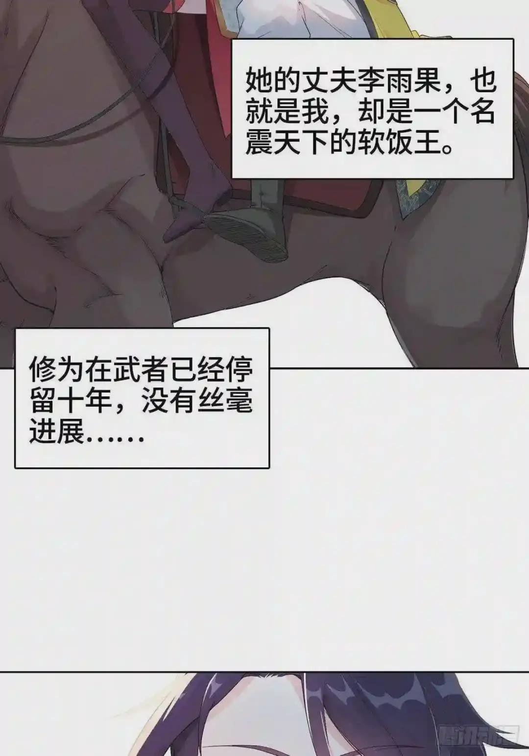 纳兰城的软饭王