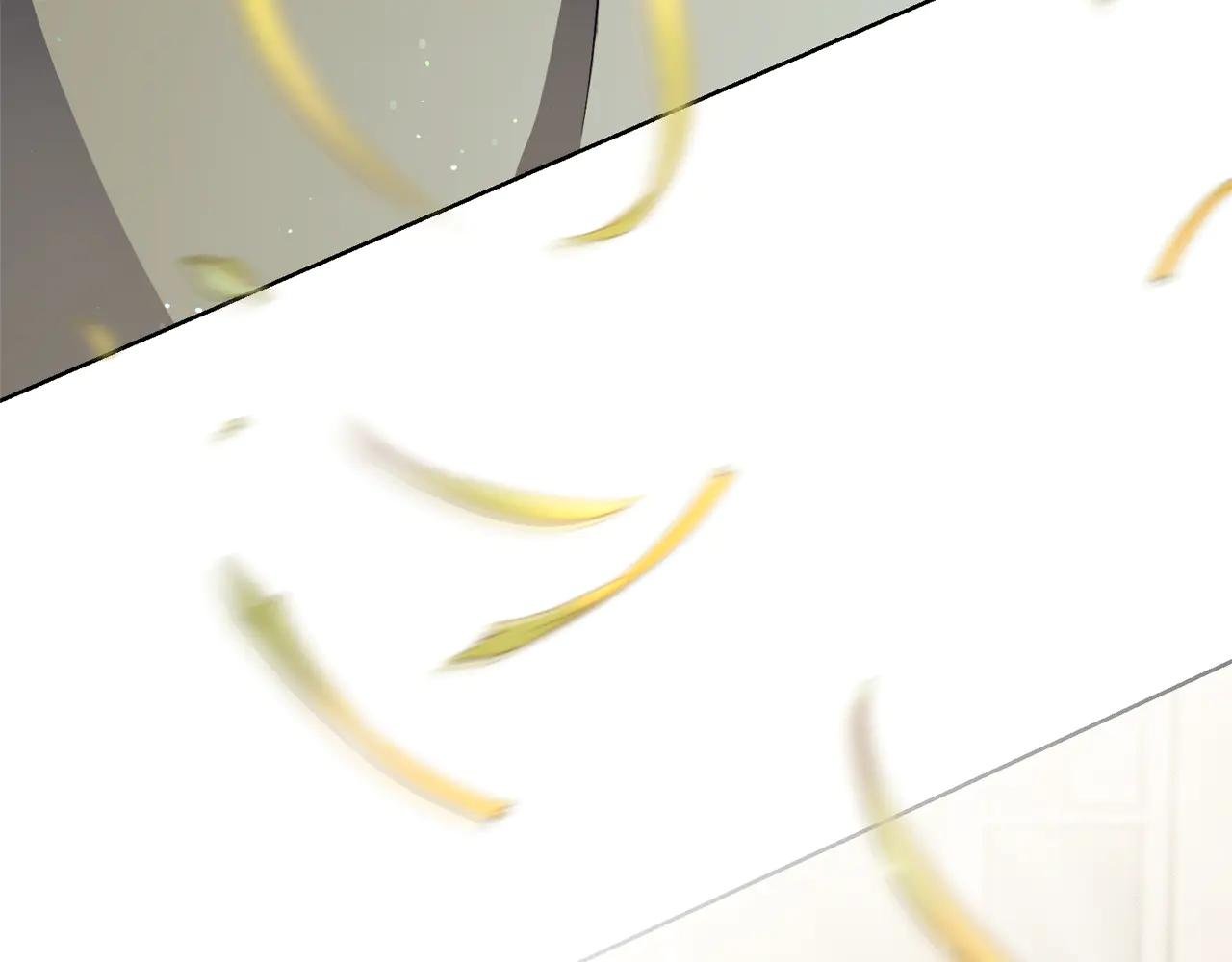 第10话 前夫受重伤？