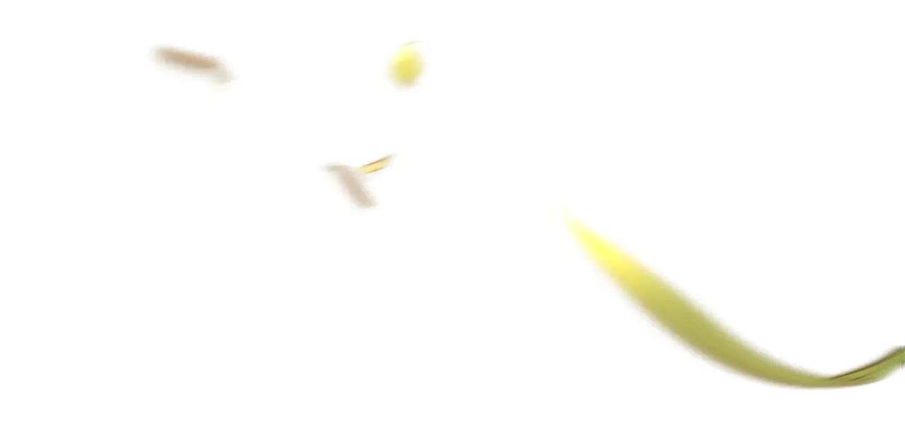 第10话 前夫受重伤？