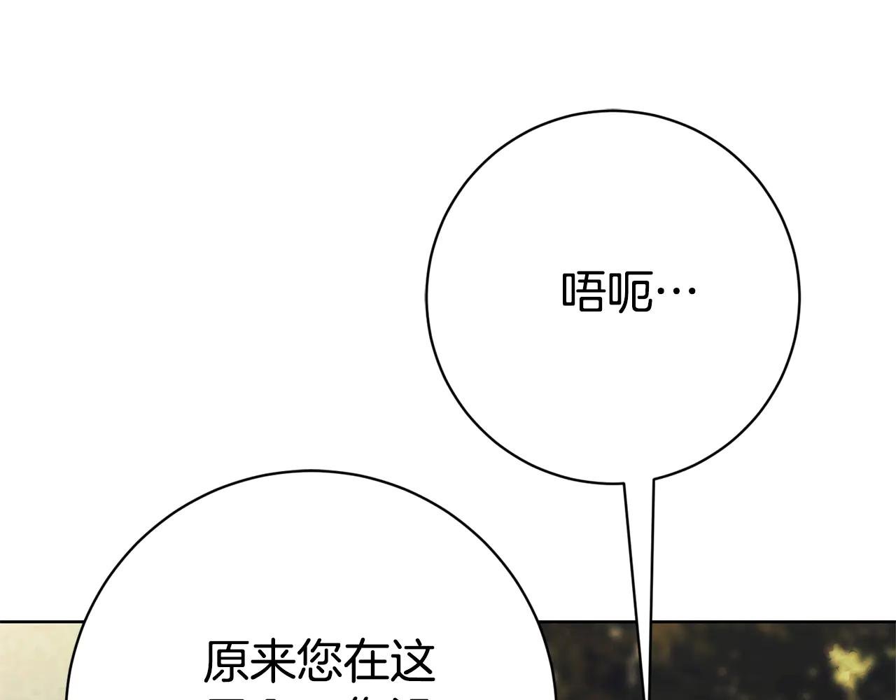 第11话 被强吻了？！